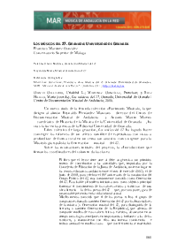 Vista previa del archivo PDF